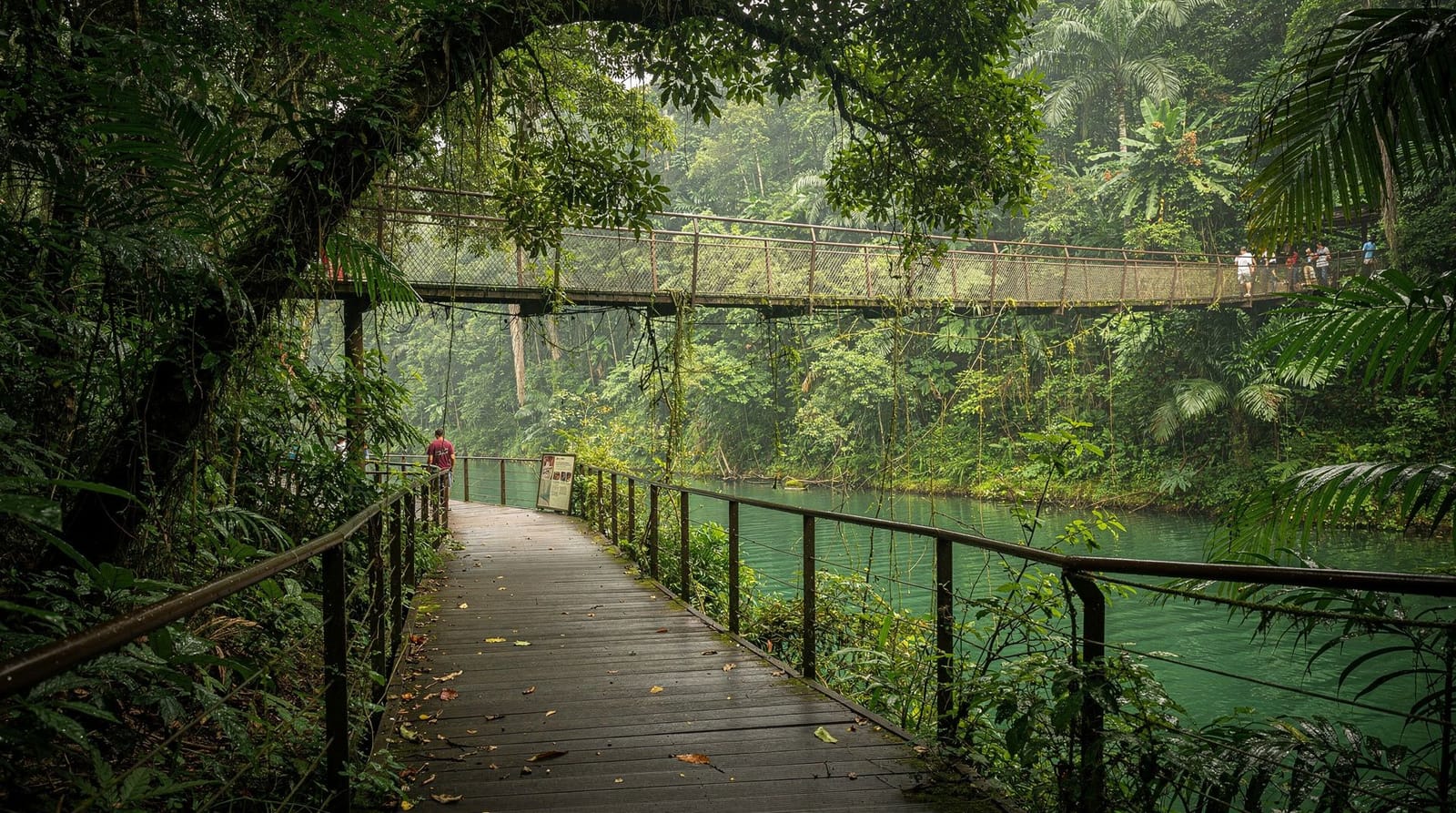 MacRitchie Treetop Walk: o guia honesto completo para 2026